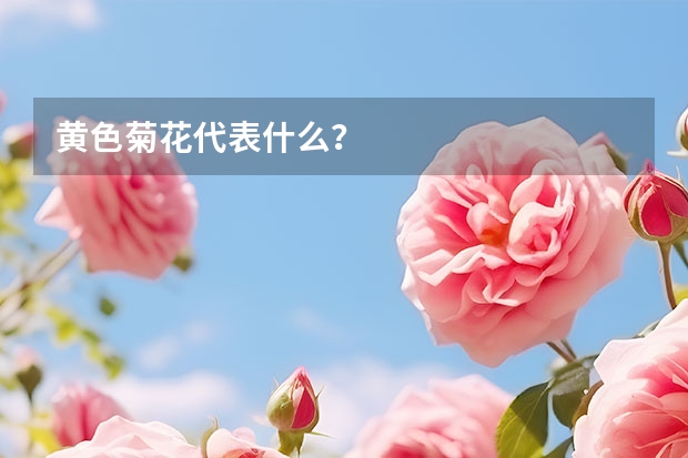 黄色菊花代表什么？