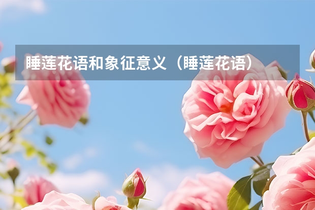 睡莲花语和象征意义（睡莲花语）