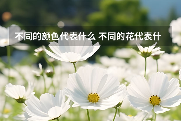 不同的颜色代表什么 不同的花代表什么