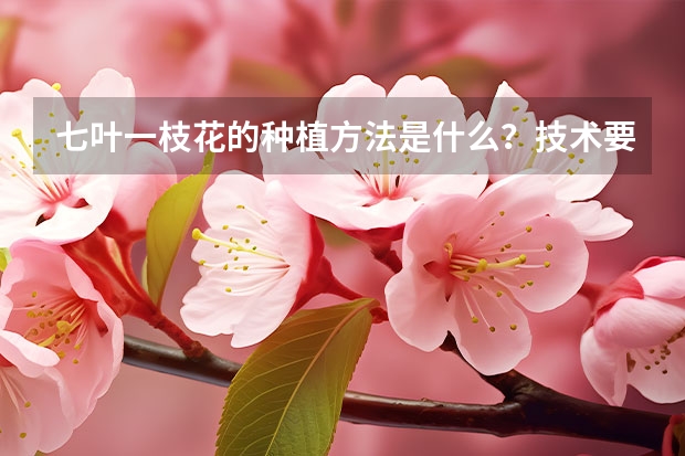 七叶一枝花的种植方法是什么？技术要点是什么？