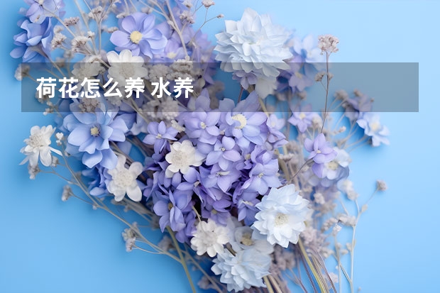 荷花怎么养 水养