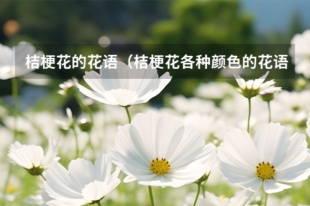 桔梗花的花语（桔梗花各种颜色的花语）