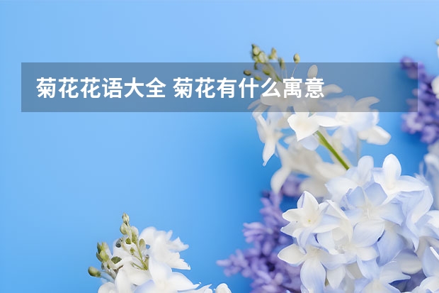 菊花花语大全 菊花有什么寓意