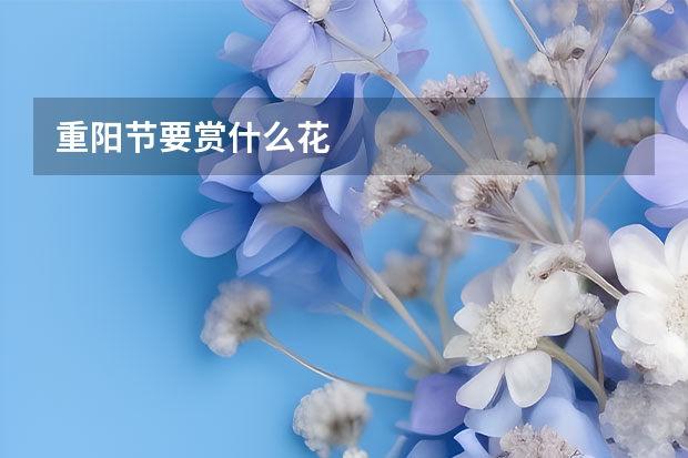 重阳节要赏什么花