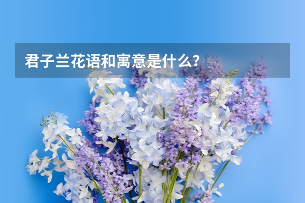 君子兰花语和寓意是什么？