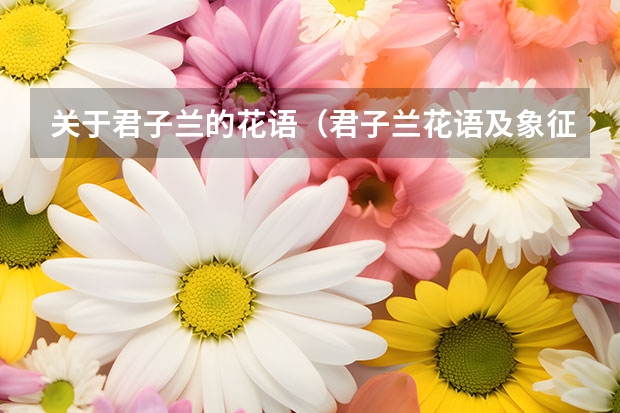 关于君子兰的花语（君子兰花语及象征意义）