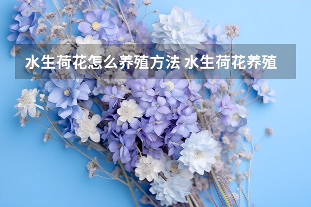 水生荷花怎么养殖方法 水生荷花养殖方法介绍