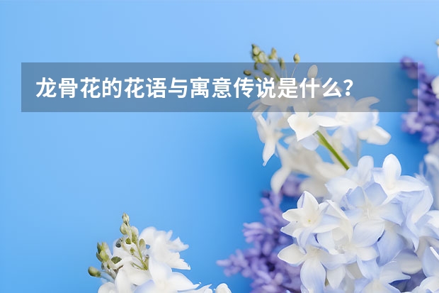 龙骨花的花语与寓意传说是什么？