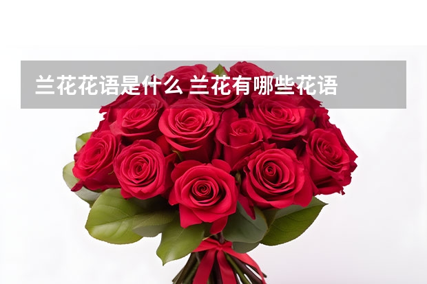 兰花花语是什么 兰花有哪些花语