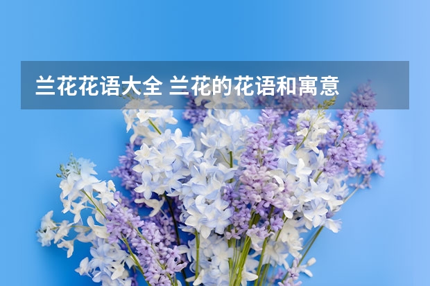 兰花花语大全 兰花的花语和寓意