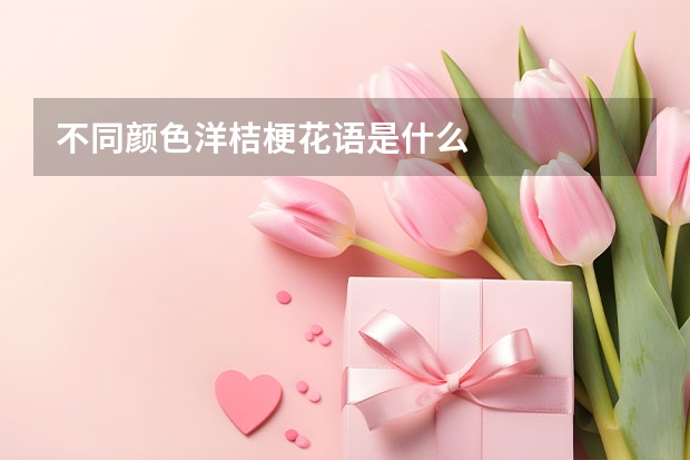 不同颜色洋桔梗花语是什么