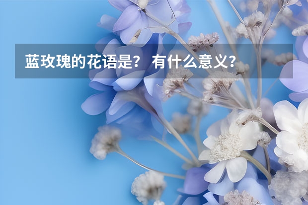 蓝玫瑰的花语是？ 有什么意义？