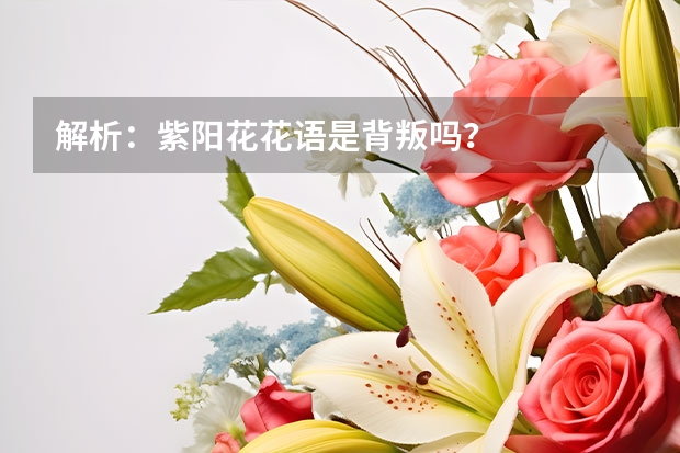 解析：紫阳花花语是背叛吗？