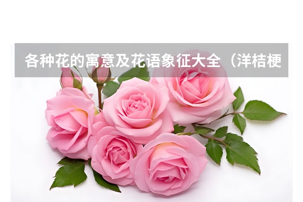 各种花的寓意及花语象征大全（洋桔梗花语及寓意）