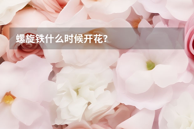 螺旋铁什么时候开花？