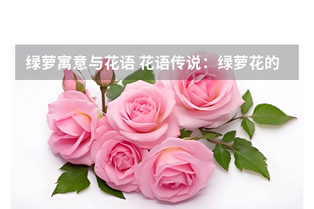 绿萝寓意与花语 花语传说：绿萝花的花语及由来