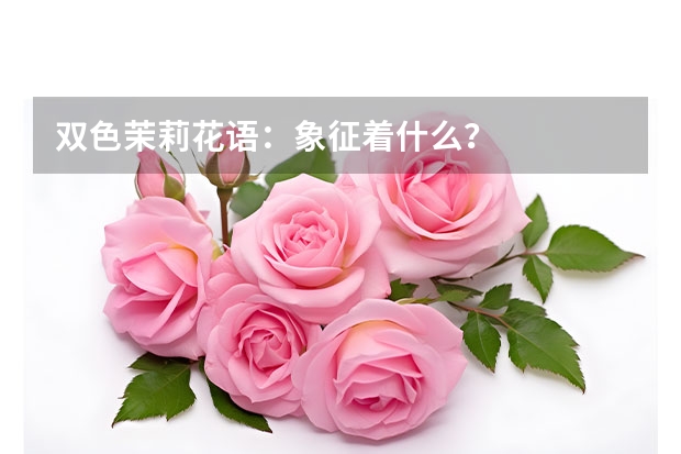 双色茉莉花语：象征着什么？