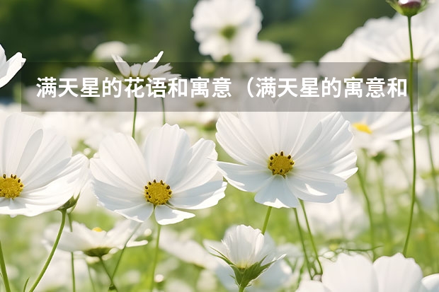 满天星的花语和寓意（满天星的寓意和花语）