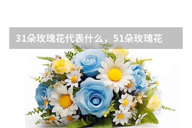 31朵玫瑰花代表什么，51朵玫瑰花代表什么