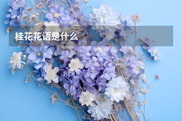 桂花花语是什么