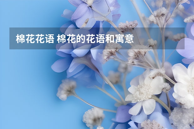 棉花花语 棉花的花语和寓意