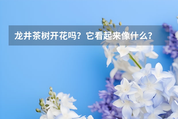 龙井茶树开花吗？它看起来像什么？