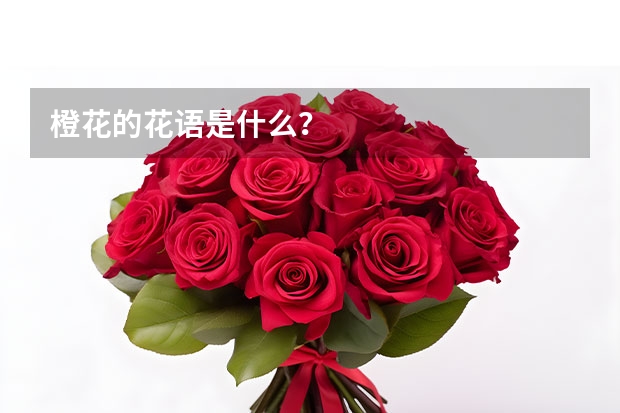 橙花的花语是什么？