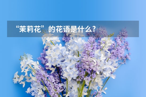 “茉莉花”的花语是什么?