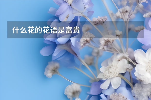 什么花的花语是富贵