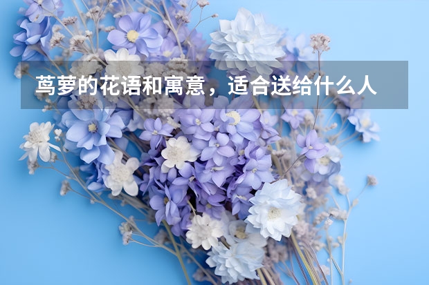 茑萝的花语和寓意，适合送给什么人