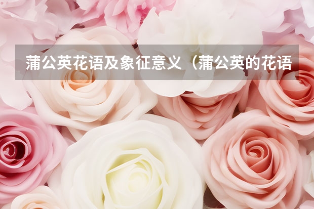 蒲公英花语及象征意义（蒲公英的花语和象征意义？）