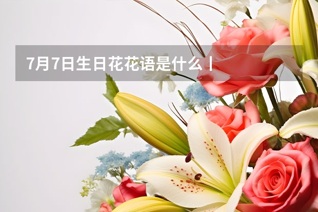 7月7日生日花花语是什么丨