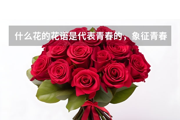 什么花的花语是代表青春的，象征青春的花