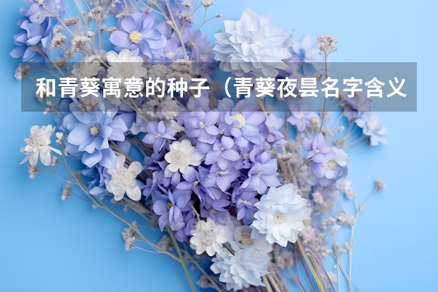 和青葵寓意的种子（青葵夜昙名字含义）