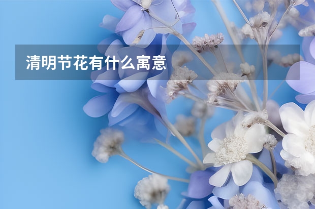 清明节花有什么寓意