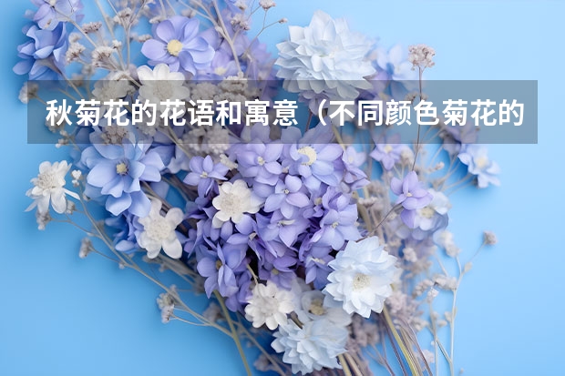 秋菊花的花语和寓意（不同颜色菊花的花语和寓意）