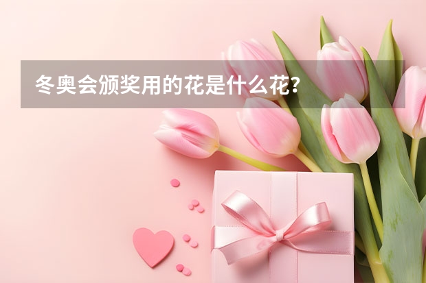 冬奥会颁奖用的花是什么花？