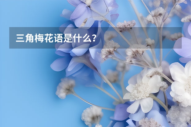 三角梅花语是什么？