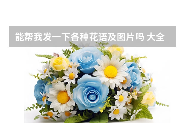 能帮我发一下各种花语及图片吗 大全jiao123qian@163.com