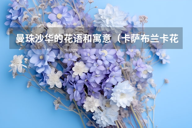 曼珠沙华的花语和寓意（卡萨布兰卡花的花语和寓意卡萨布兰卡花的花语和寓意介绍）