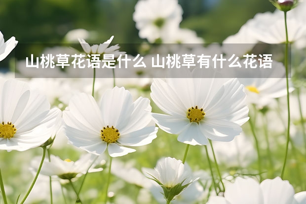 山桃草花语是什么 山桃草有什么花语