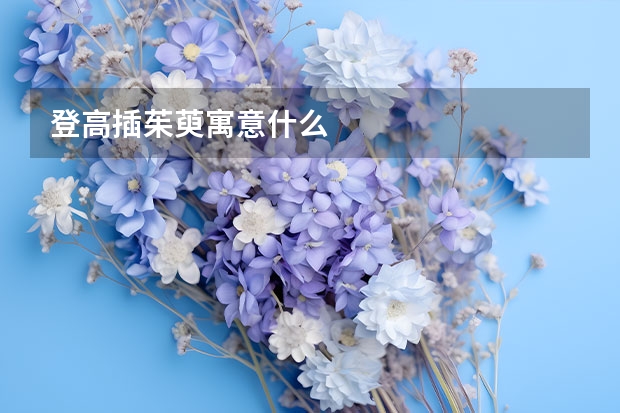 登高插茱萸寓意什么