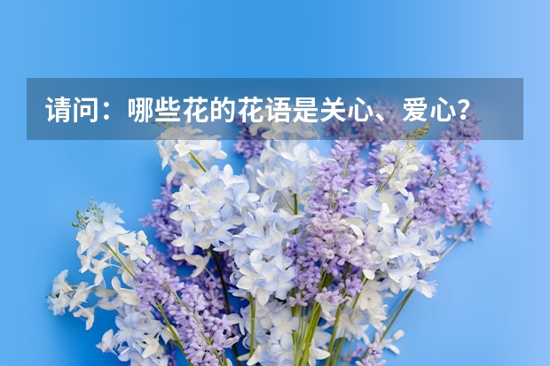 请问：哪些花的花语是关心、爱心？