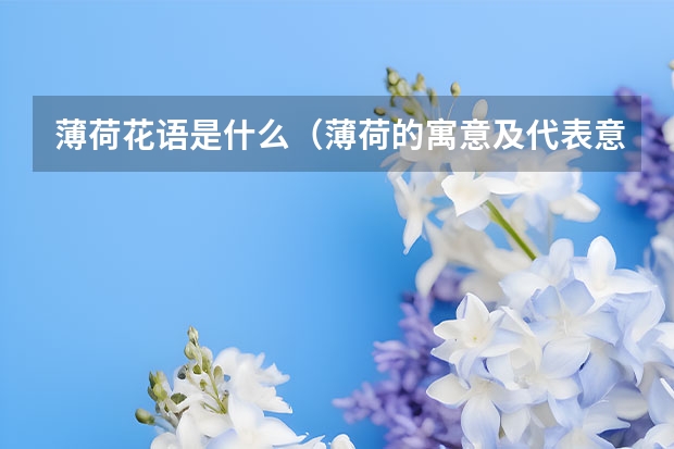 薄荷花语是什么（薄荷的寓意及代表意义）