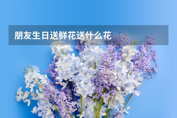 朋友生日送鲜花送什么花