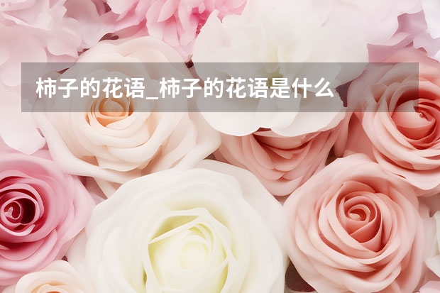 柿子的花语_柿子的花语是什么