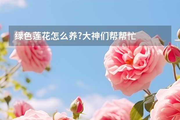 绿色莲花怎么养?大神们帮帮忙