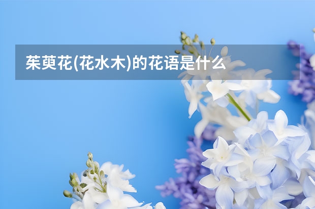 茱萸花(花水木)的花语是什么