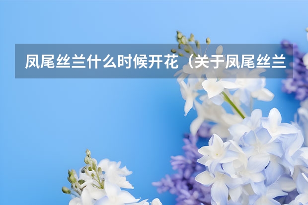 凤尾丝兰什么时候开花（关于凤尾丝兰花期简介）