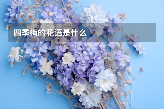 四季梅的花语是什么